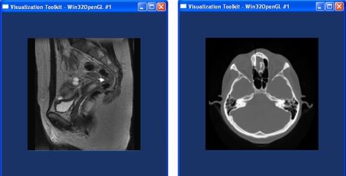 https://cdn.ncbi.nlm.nih.gov/pmc/blobs/57cd/3233737/a51f6eb4a6d0/10278_2007_9062_Fig3_HTML.jpg