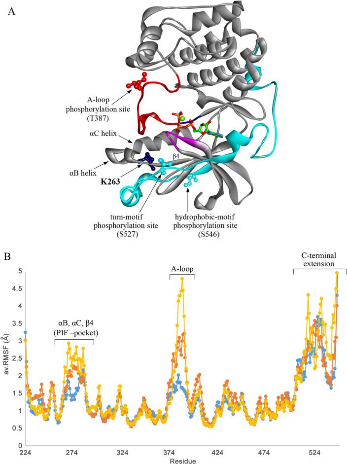 https://cdn.ncbi.nlm.nih.gov/pmc/blobs/57ce/7660925/ce1b871606f7/pgen.1009196.g004.jpg