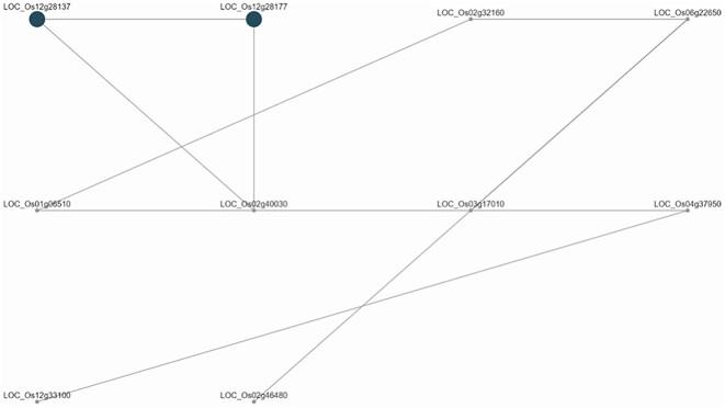 https://cdn.ncbi.nlm.nih.gov/pmc/blobs/57d0/11148593/2ca6353dfbca/giae013fig7.jpg