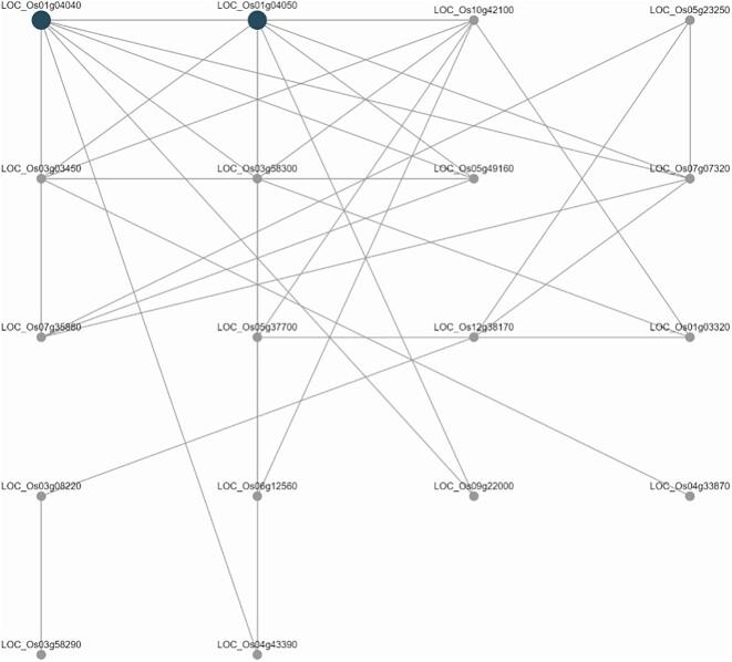 https://cdn.ncbi.nlm.nih.gov/pmc/blobs/57d0/11148593/3d63c747ffc3/giae013fig8.jpg