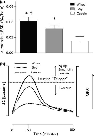 https://cdn.ncbi.nlm.nih.gov/pmc/blobs/57d4/4008813/b8c609894aa6/40279_2014_152_Fig2_HTML.jpg