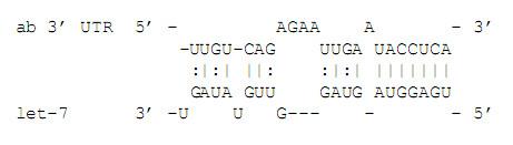 https://cdn.ncbi.nlm.nih.gov/pmc/blobs/57d5/2365947/d9dc3820712c/1748-7188-3-3-1.jpg
