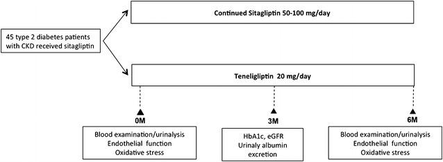 https://cdn.ncbi.nlm.nih.gov/pmc/blobs/57d5/4869394/e3165153be1f/12933_2016_396_Fig1_HTML.jpg