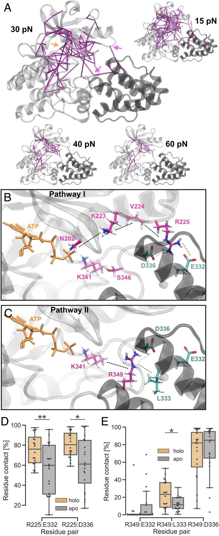 https://cdn.ncbi.nlm.nih.gov/pmc/blobs/57d5/8933812/9693bbf1e202/pnas.2106098119fig03.jpg