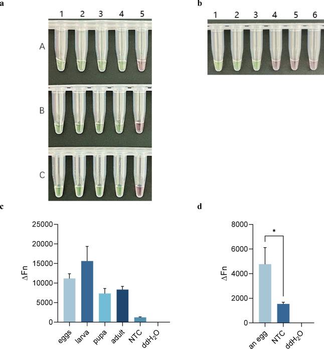 https://cdn.ncbi.nlm.nih.gov/pmc/blobs/57d6/12089522/2b0f2c1e1668/41598_2025_2441_Fig8_HTML.jpg