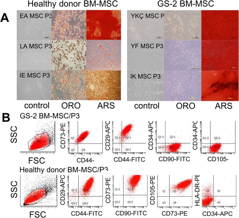 https://cdn.ncbi.nlm.nih.gov/pmc/blobs/57d6/8117610/4d3cd0601376/13287_2021_2364_Fig1_HTML.jpg