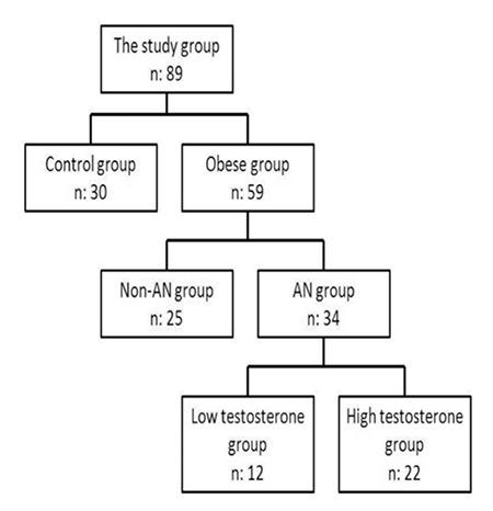 https://cdn.ncbi.nlm.nih.gov/pmc/blobs/57d7/4439894/6016d4482559/JCRPE-7-63-g4.jpg