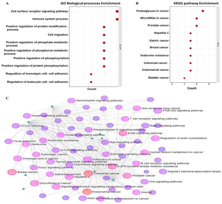 https://cdn.ncbi.nlm.nih.gov/pmc/blobs/57d9/8962339/49fd96adc477/biomedicines-10-00377-g007.jpg