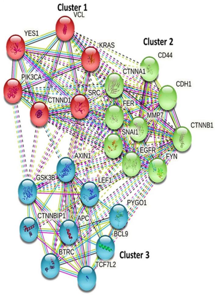 https://cdn.ncbi.nlm.nih.gov/pmc/blobs/57d9/8962339/e19df50f1d2c/biomedicines-10-00377-g006.jpg