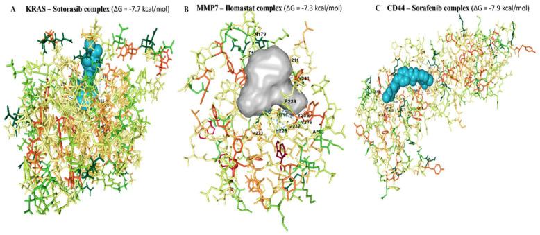 https://cdn.ncbi.nlm.nih.gov/pmc/blobs/57d9/8962339/fda9ac423f85/biomedicines-10-00377-g010.jpg