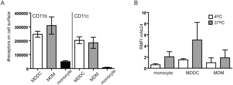 https://cdn.ncbi.nlm.nih.gov/pmc/blobs/57dd/5033469/76ad88cff6ab/pone.0163120.g001.jpg