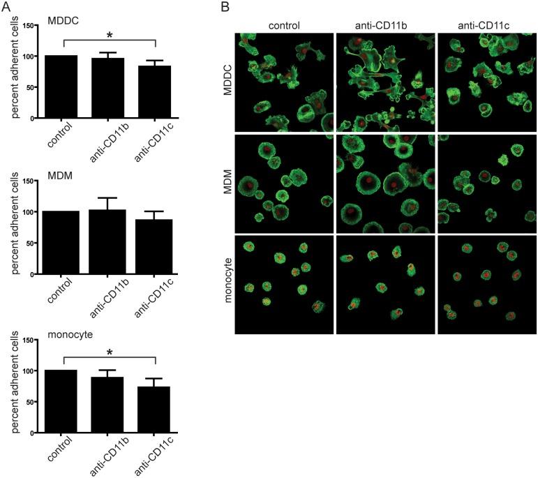 https://cdn.ncbi.nlm.nih.gov/pmc/blobs/57dd/5033469/90ccd4b348bf/pone.0163120.g002.jpg