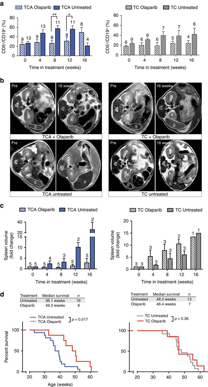 https://cdn.ncbi.nlm.nih.gov/pmc/blobs/57dd/5532225/d6c583e02be8/41467_2017_210_Fig5_HTML.jpg