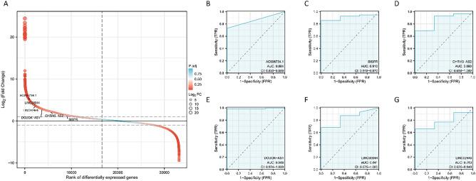 https://cdn.ncbi.nlm.nih.gov/pmc/blobs/57de/11286791/024465bcede5/41598_2024_65990_Fig5_HTML.jpg