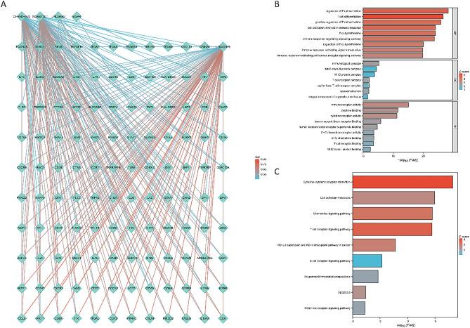 https://cdn.ncbi.nlm.nih.gov/pmc/blobs/57de/11286791/3f4666e58ea8/41598_2024_65990_Fig11_HTML.jpg