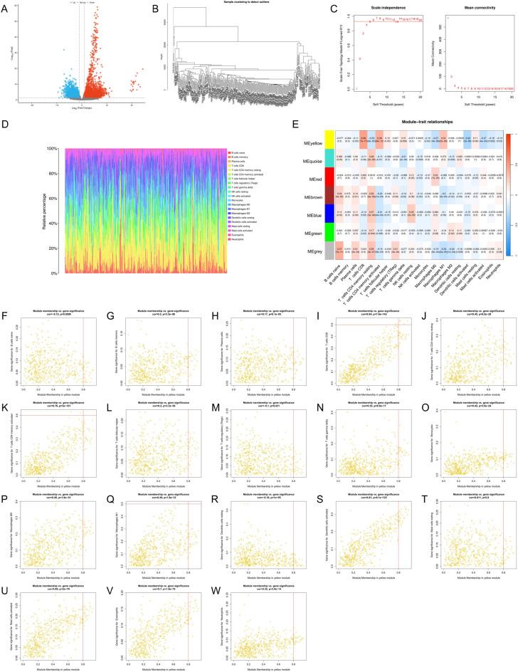 https://cdn.ncbi.nlm.nih.gov/pmc/blobs/57de/11286791/6109ca887e28/41598_2024_65990_Fig2_HTML.jpg