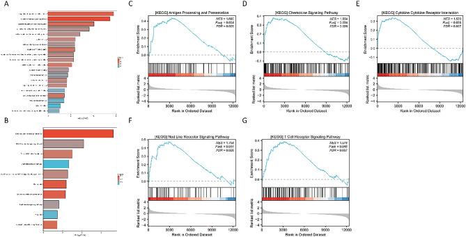 https://cdn.ncbi.nlm.nih.gov/pmc/blobs/57de/11286791/b6c9158040d8/41598_2024_65990_Fig3_HTML.jpg