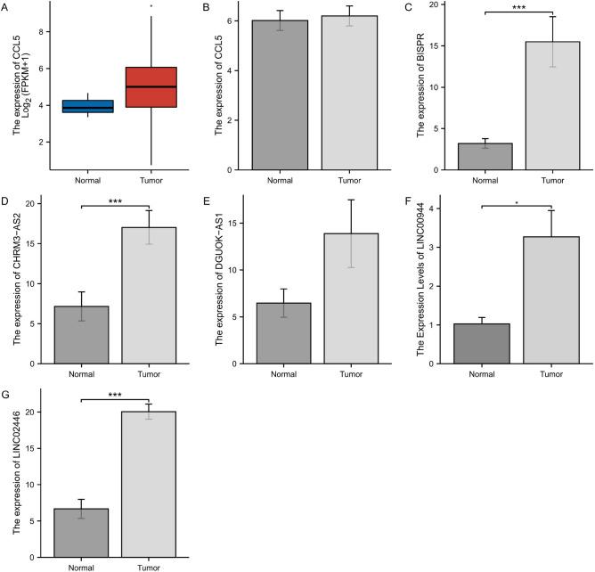 https://cdn.ncbi.nlm.nih.gov/pmc/blobs/57de/11286791/d88531d3f75f/41598_2024_65990_Fig13_HTML.jpg