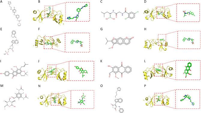 https://cdn.ncbi.nlm.nih.gov/pmc/blobs/57de/11286791/dced8e03f953/41598_2024_65990_Fig12_HTML.jpg