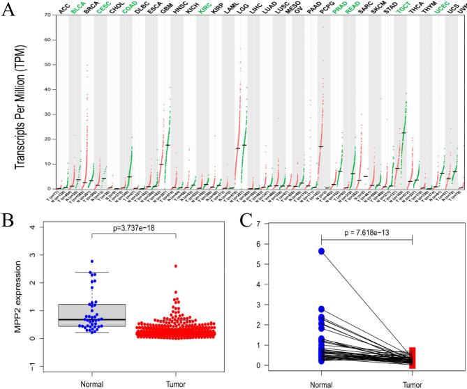 https://cdn.ncbi.nlm.nih.gov/pmc/blobs/57de/11533354/5c26ae081950/12957_2024_3567_Fig1_HTML.jpg