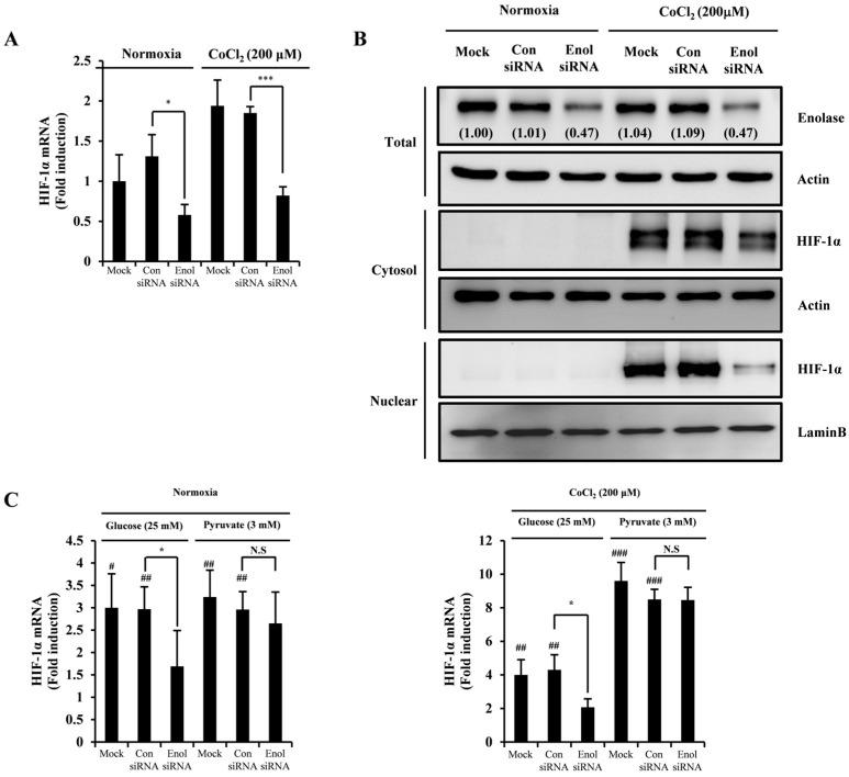 https://cdn.ncbi.nlm.nih.gov/pmc/blobs/57df/11123766/86b6a9b16372/molecules-29-02218-g004a.jpg