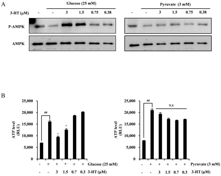 https://cdn.ncbi.nlm.nih.gov/pmc/blobs/57df/11123766/8835921311e2/molecules-29-02218-g005.jpg