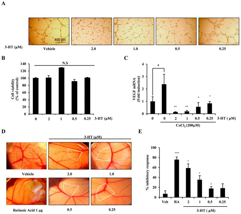 https://cdn.ncbi.nlm.nih.gov/pmc/blobs/57df/11123766/8db6069dfbe1/molecules-29-02218-g002.jpg