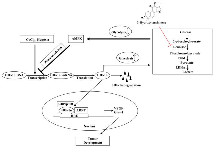 https://cdn.ncbi.nlm.nih.gov/pmc/blobs/57df/11123766/c839ed3ee123/molecules-29-02218-g006.jpg