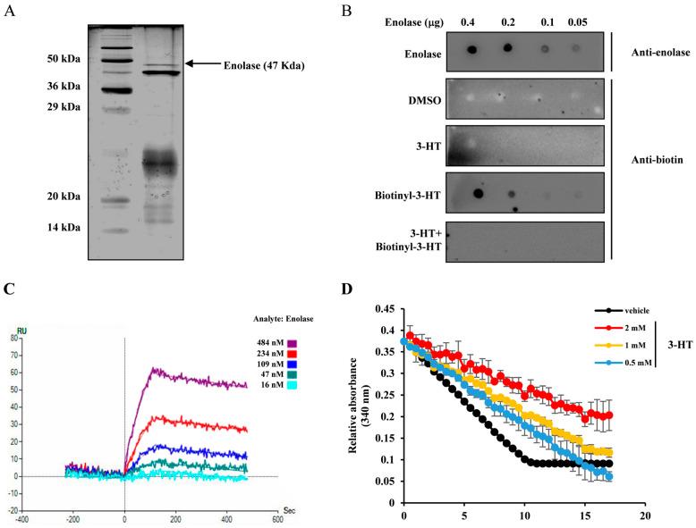 https://cdn.ncbi.nlm.nih.gov/pmc/blobs/57df/11123766/d7ca065d2713/molecules-29-02218-g003.jpg