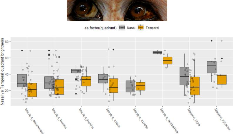 https://cdn.ncbi.nlm.nih.gov/pmc/blobs/57df/11586437/f0561333fd3b/41598_2024_80643_Fig4_HTML.jpg