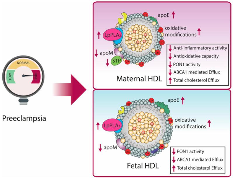 https://cdn.ncbi.nlm.nih.gov/pmc/blobs/57df/8067099/d2526ac7fdde/biomedicines-09-00349-g003.jpg