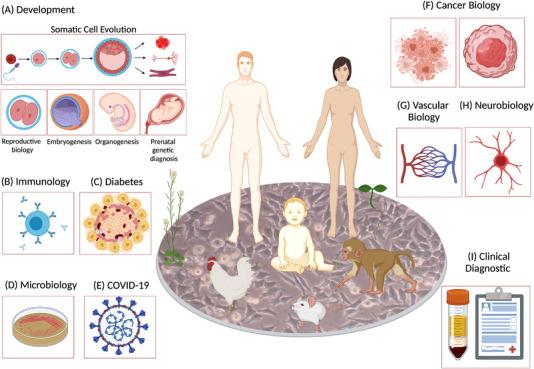 https://cdn.ncbi.nlm.nih.gov/pmc/blobs/57e4/8964935/1059d7d1c5c9/CTM2-12-e694-g006.jpg