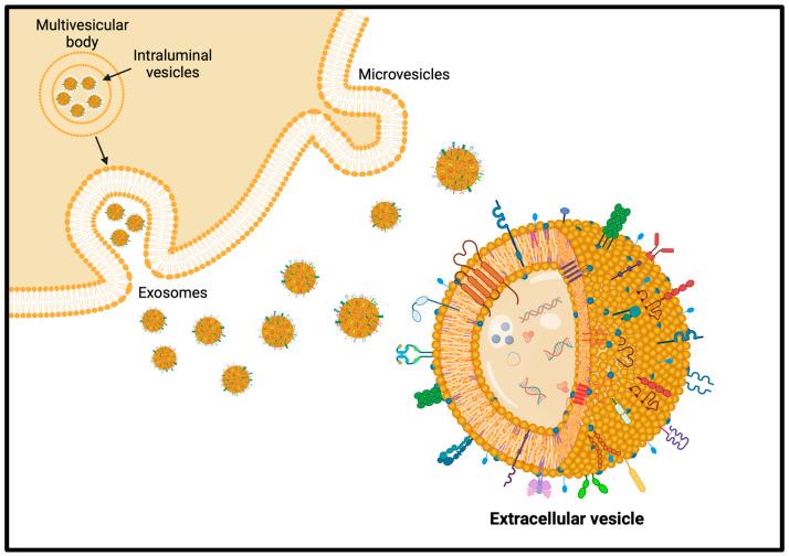 https://cdn.ncbi.nlm.nih.gov/pmc/blobs/57e5/11279990/0a46fee8e41d/pharmaceutics-16-00849-g005.jpg