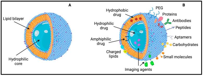 https://cdn.ncbi.nlm.nih.gov/pmc/blobs/57e5/11279990/17cf303b1e76/pharmaceutics-16-00849-g003.jpg
