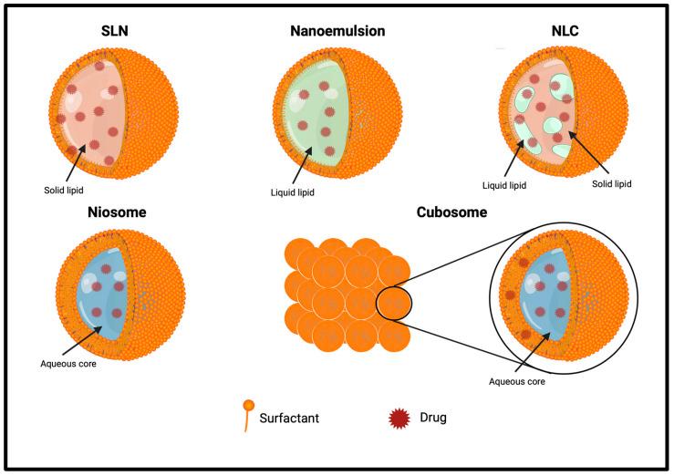 https://cdn.ncbi.nlm.nih.gov/pmc/blobs/57e5/11279990/eab8ed818998/pharmaceutics-16-00849-g004.jpg