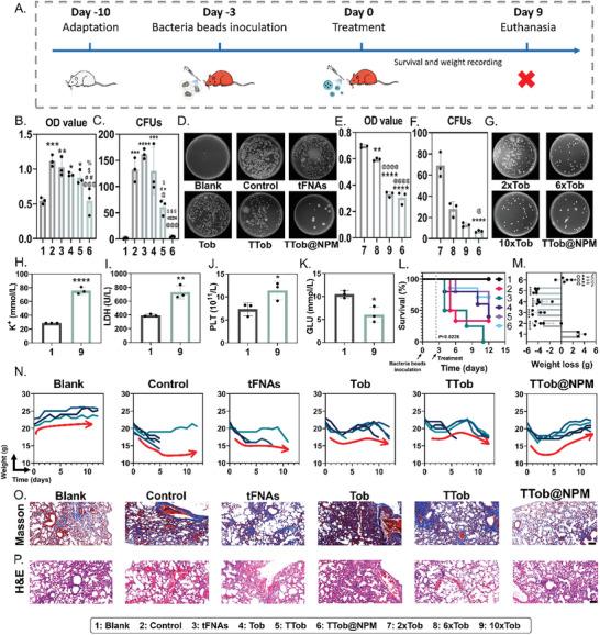 https://cdn.ncbi.nlm.nih.gov/pmc/blobs/57e5/11809413/18877799c4bc/ADVS-12-2411261-g003.jpg