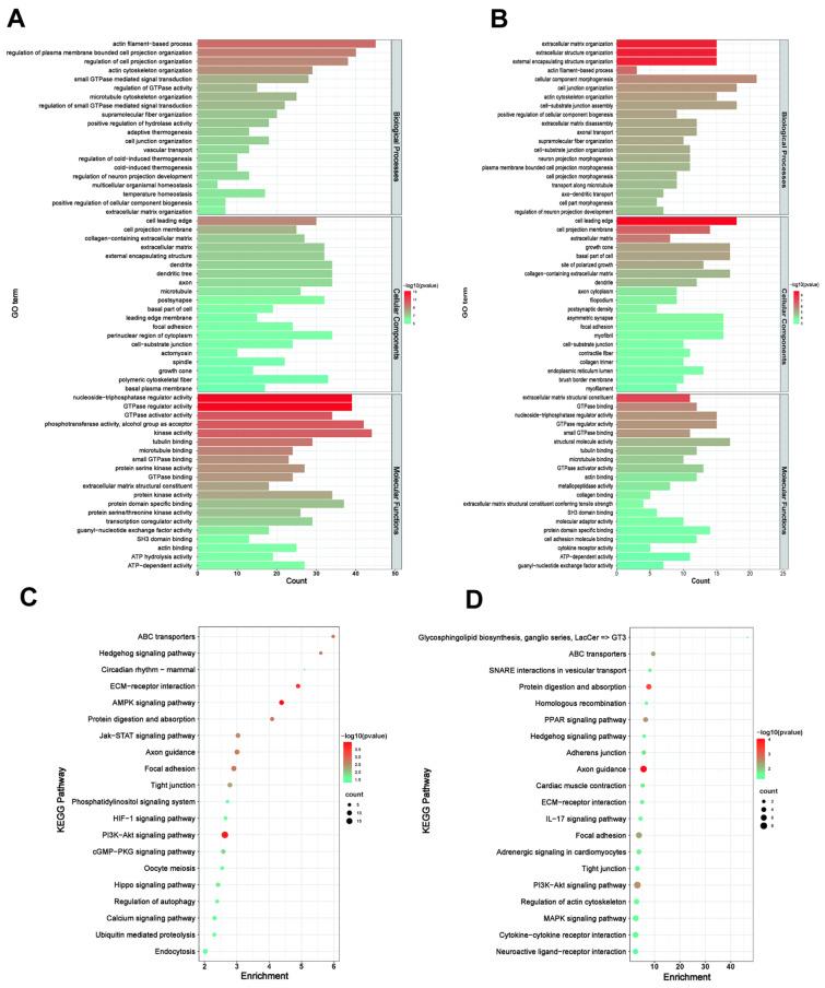 https://cdn.ncbi.nlm.nih.gov/pmc/blobs/57e6/9222479/a31246aeb576/genes-13-01031-g004.jpg