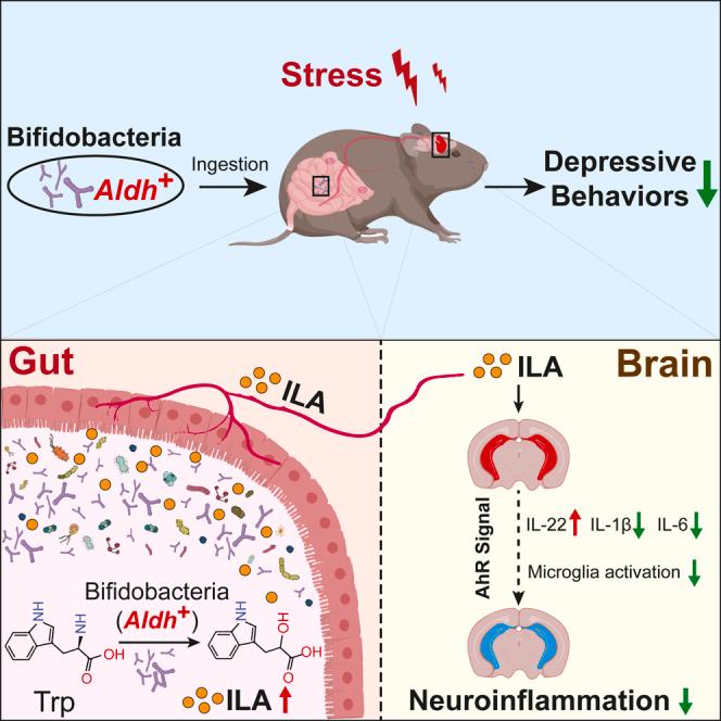 https://cdn.ncbi.nlm.nih.gov/pmc/blobs/57e8/11604549/2ffe45df6aff/fx1.jpg