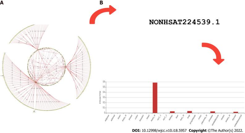 https://cdn.ncbi.nlm.nih.gov/pmc/blobs/57e8/9254192/82b520ea8114/WJCC-10-5957-g001.jpg