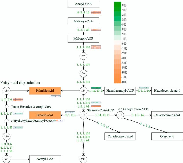 https://cdn.ncbi.nlm.nih.gov/pmc/blobs/57e9/6418210/536555a403e9/41598_2019_41065_Fig6_HTML.jpg