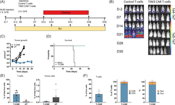 https://cdn.ncbi.nlm.nih.gov/pmc/blobs/57ea/12255906/574dfee21d49/HEM3-9-e70155-g004.jpg