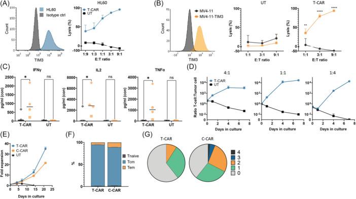 https://cdn.ncbi.nlm.nih.gov/pmc/blobs/57ea/12255906/bb47143d6b77/HEM3-9-e70155-g003.jpg