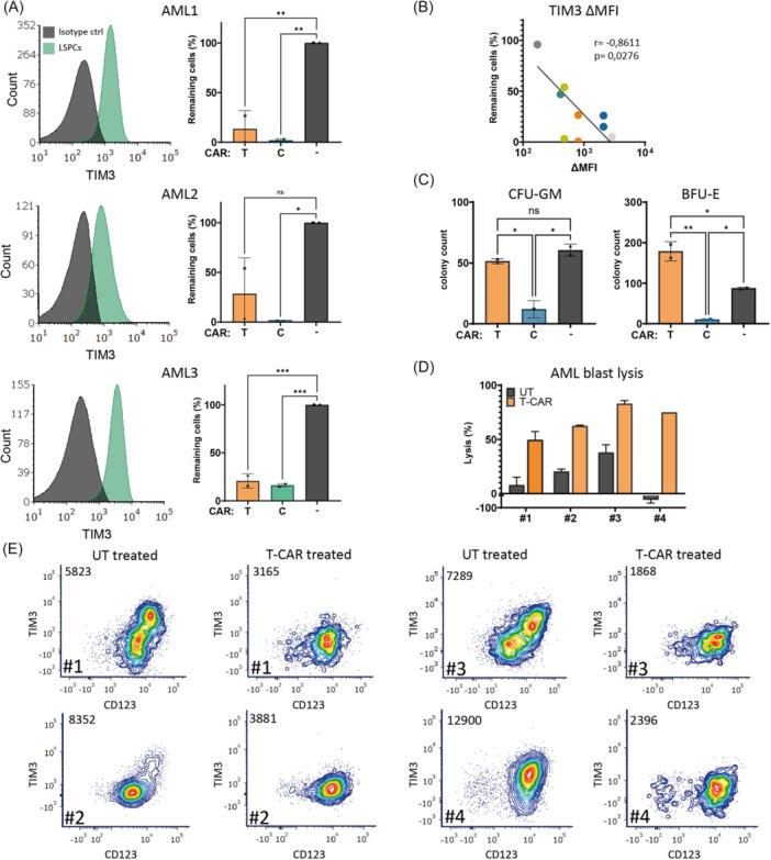 https://cdn.ncbi.nlm.nih.gov/pmc/blobs/57ea/12255906/bc9a894c105a/HEM3-9-e70155-g002.jpg