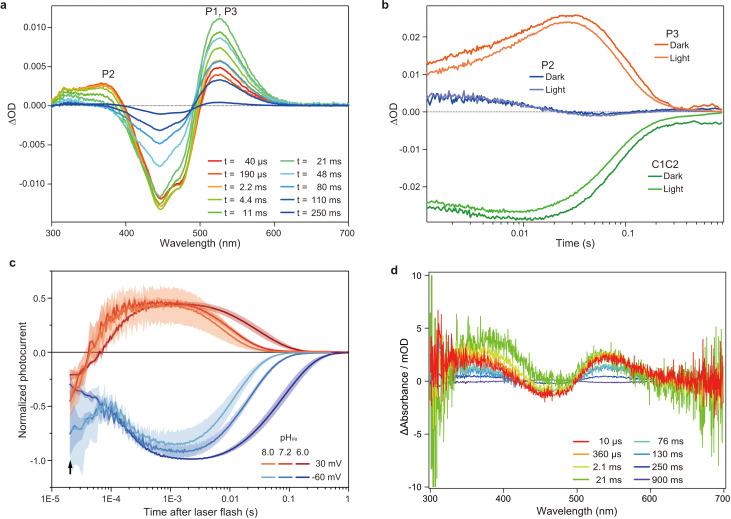 https://cdn.ncbi.nlm.nih.gov/pmc/blobs/57ea/7987342/7b2e85e511af/elife-62389-fig2.jpg