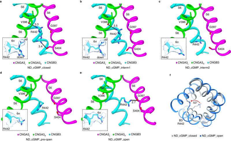 https://cdn.ncbi.nlm.nih.gov/pmc/blobs/57ec/10354024/d79b638e87f3/41467_2023_39971_Fig6_HTML.jpg