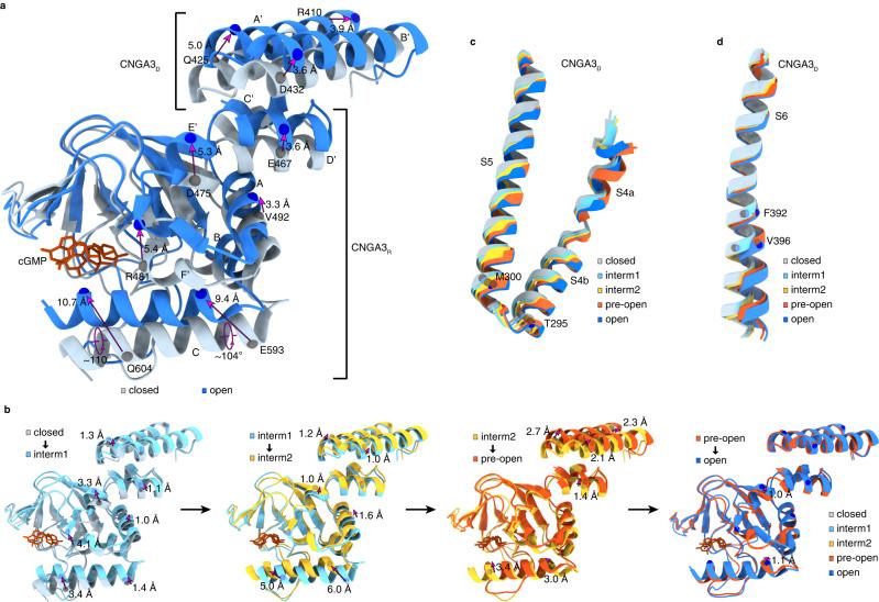 https://cdn.ncbi.nlm.nih.gov/pmc/blobs/57ec/10354024/fa2696ef05b5/41467_2023_39971_Fig3_HTML.jpg