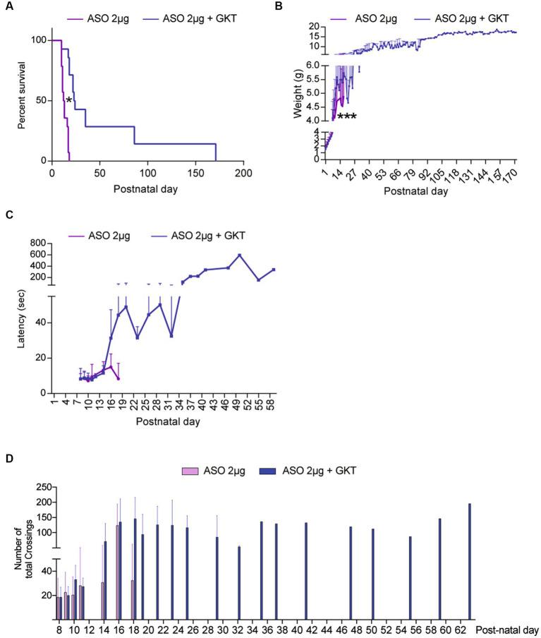 https://cdn.ncbi.nlm.nih.gov/pmc/blobs/57ed/10536974/52ab67dc4a31/fncel-17-1242828-g006.jpg