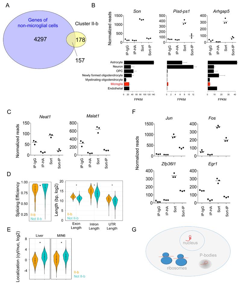 https://cdn.ncbi.nlm.nih.gov/pmc/blobs/57ee/5986066/d201b4580d4e/emss-77018-f004.jpg