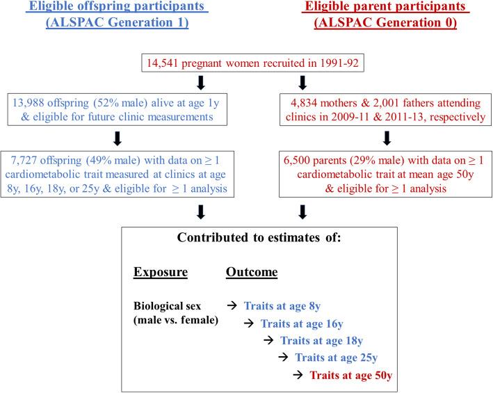 https://cdn.ncbi.nlm.nih.gov/pmc/blobs/57ef/7903597/97fb5519365f/12916_2021_1929_Fig1_HTML.jpg