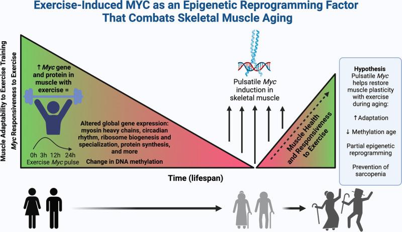 https://cdn.ncbi.nlm.nih.gov/pmc/blobs/57f1/11520332/f624ef78271c/essr-52-63-g001.jpg